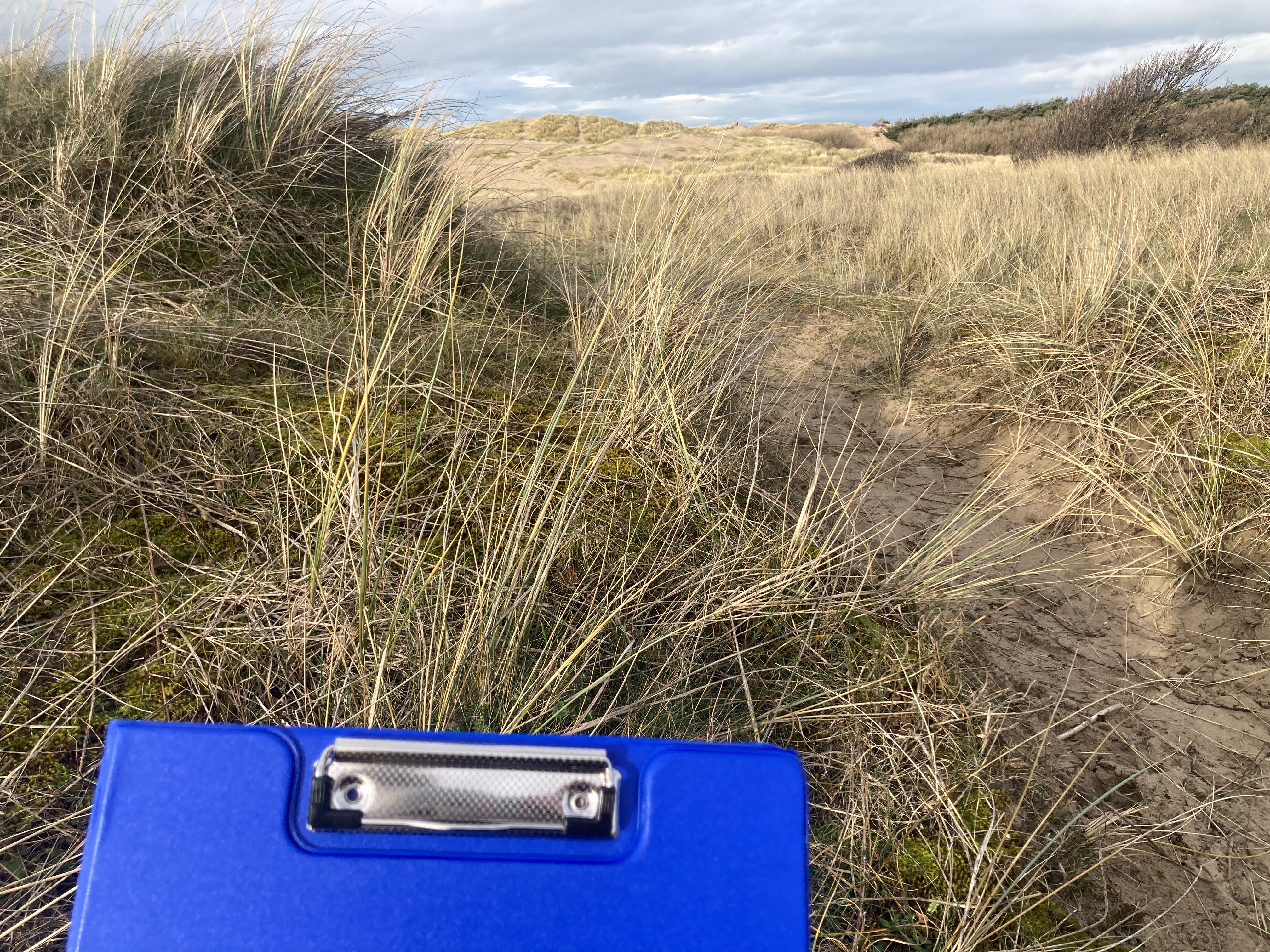 Holding a clipboard with a view of the dunes