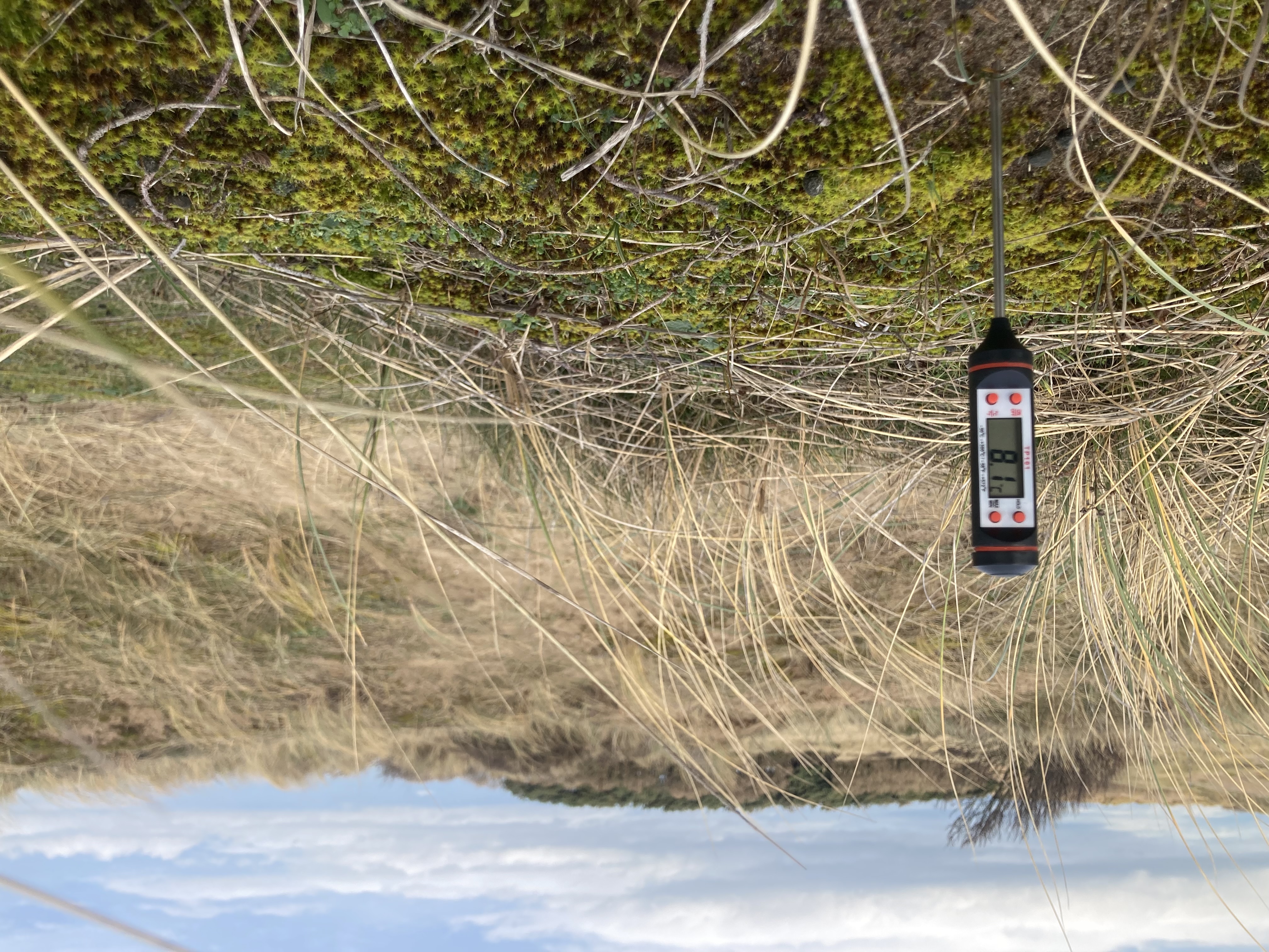 Thermometer in the sand at Formby sand dunes