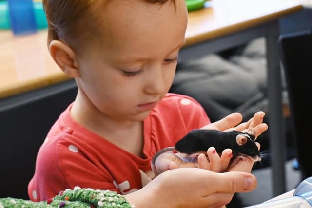 Handling opportunities