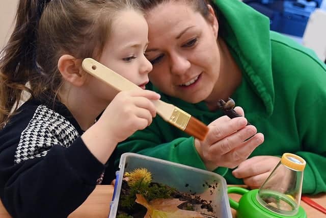 Explore minibeasts hands-on