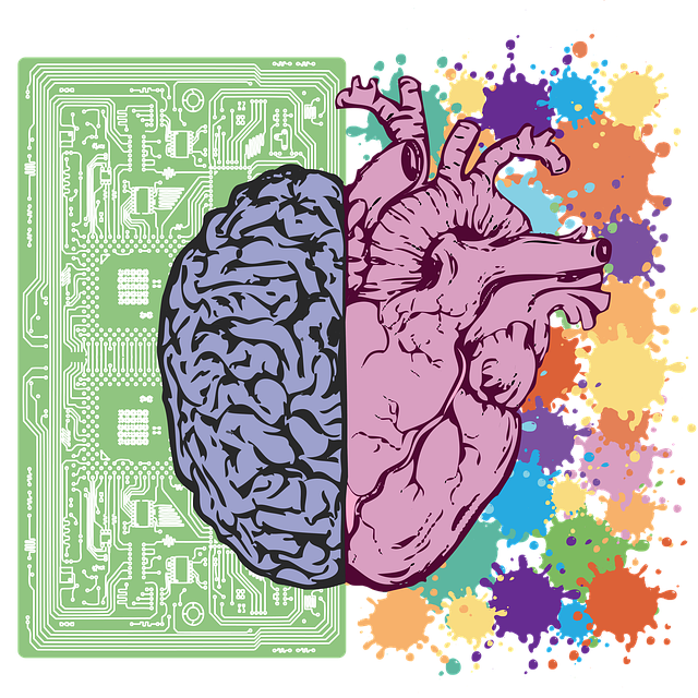Brain