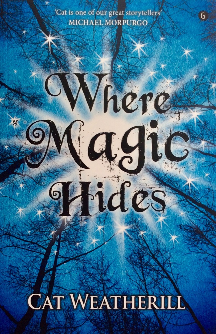 Where Magic Hides book cover