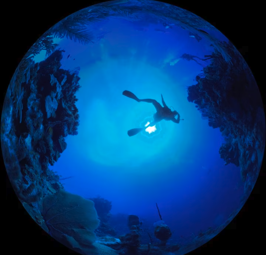 Reef-2