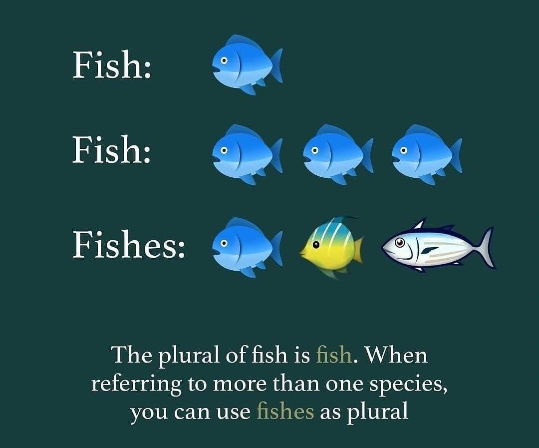 Knowledge
