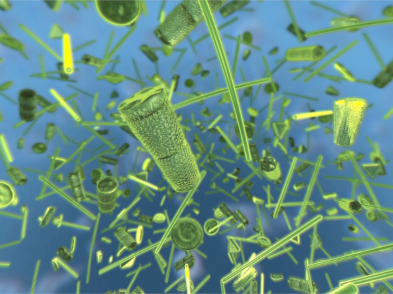 Plankton