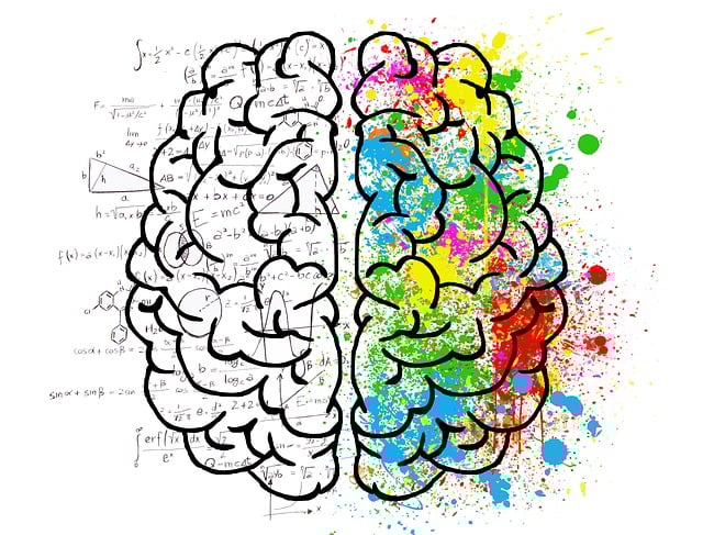Brain image