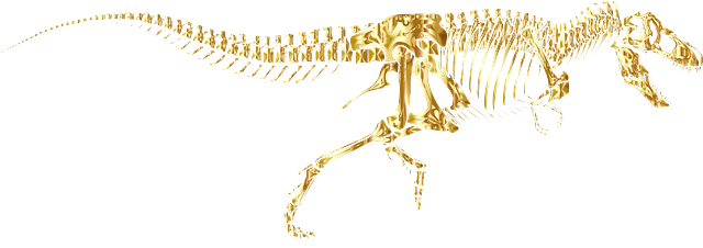 Tyrannosaurus-Rex Skeleton Graphic