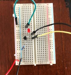 Transistor Breadboard Circuit