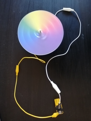 Spinning Newton Disc