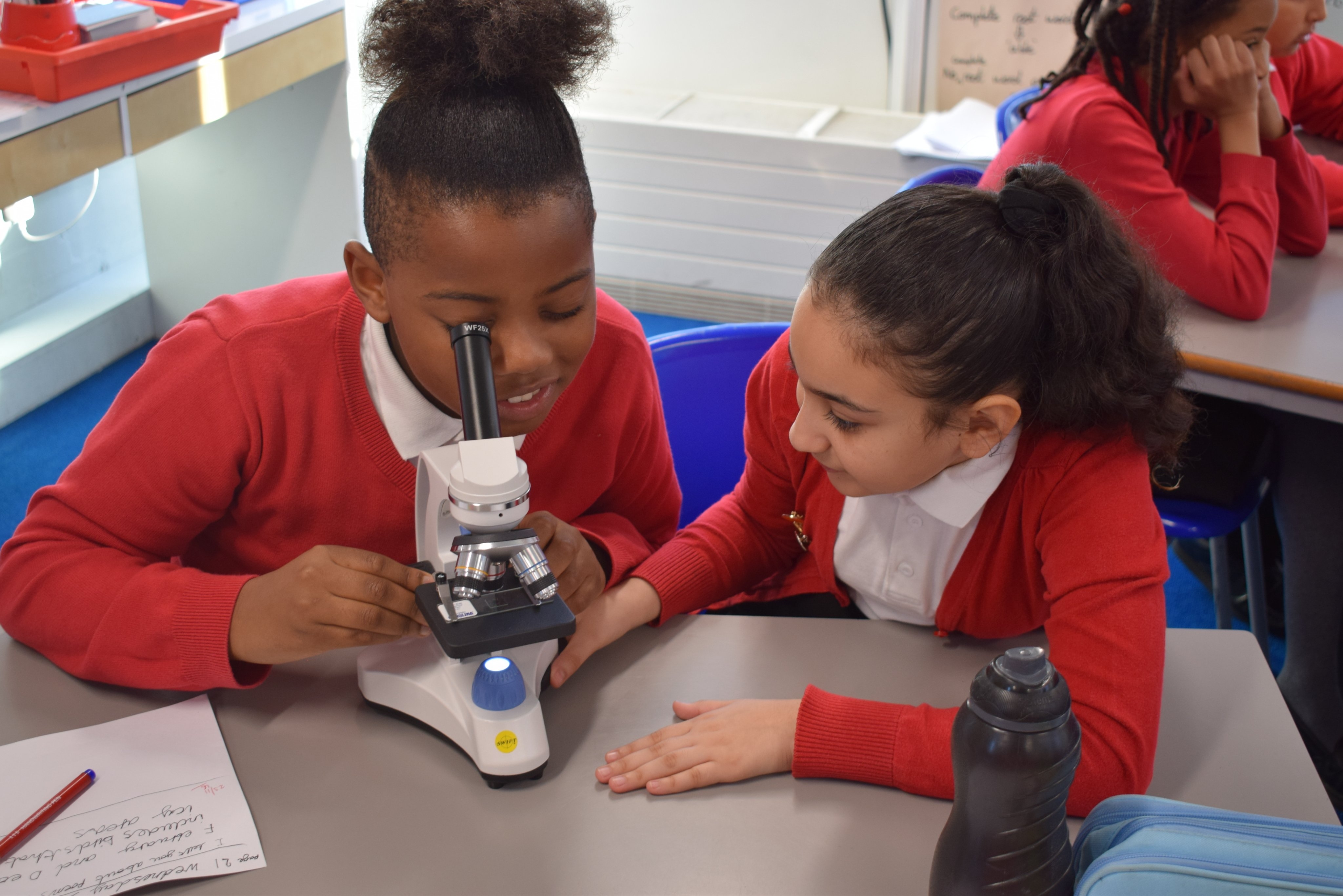 Children using microscopes