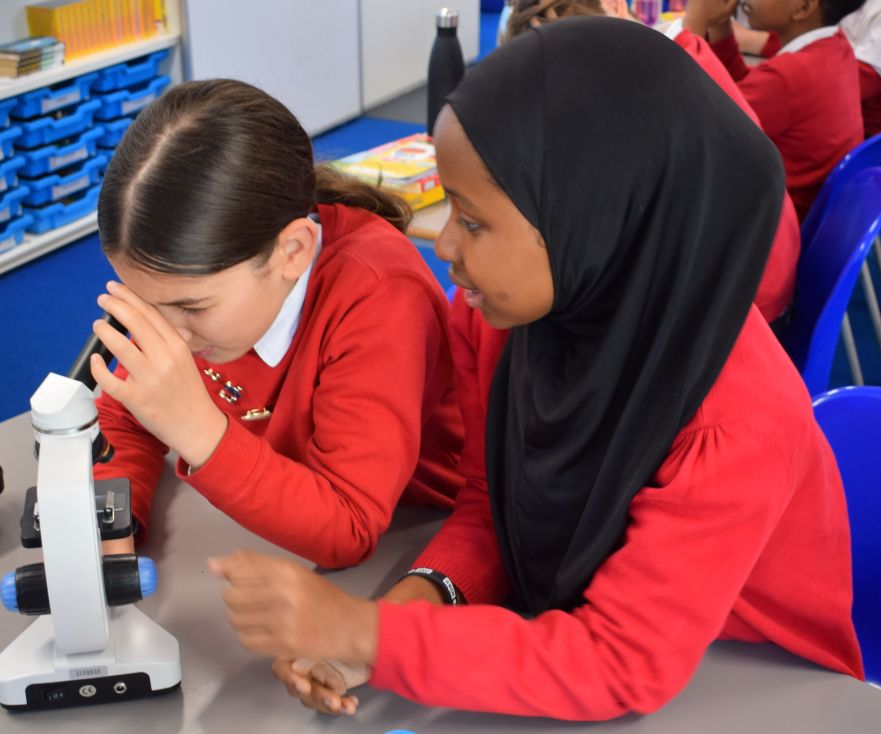 Children Looking Through Microscope